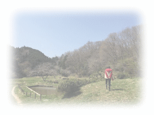 日本野生生物リサーチセンター　里中遊歩　web site